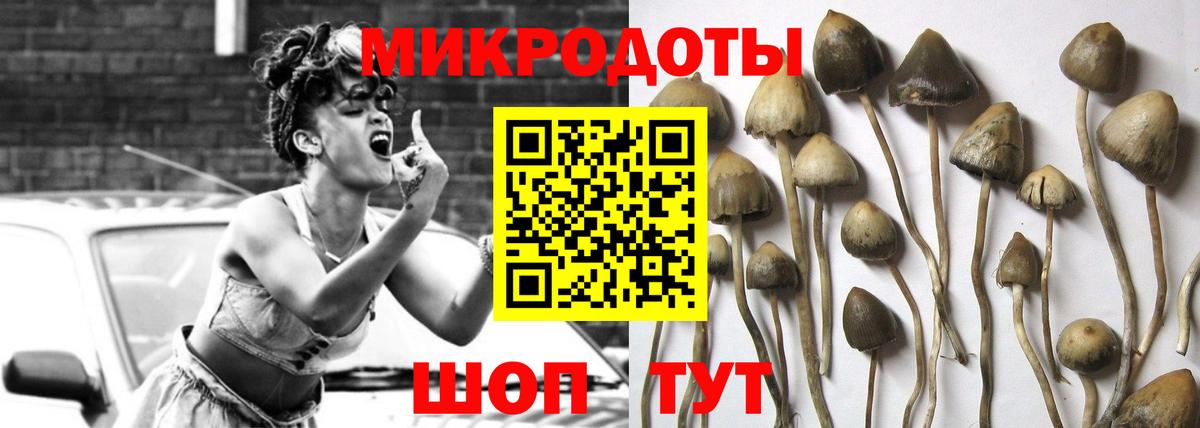Галлюциногенные грибы Psilocybe  Псилоцибиновые грибы Magic Shrooms  Вход с VPN  Костомукша 